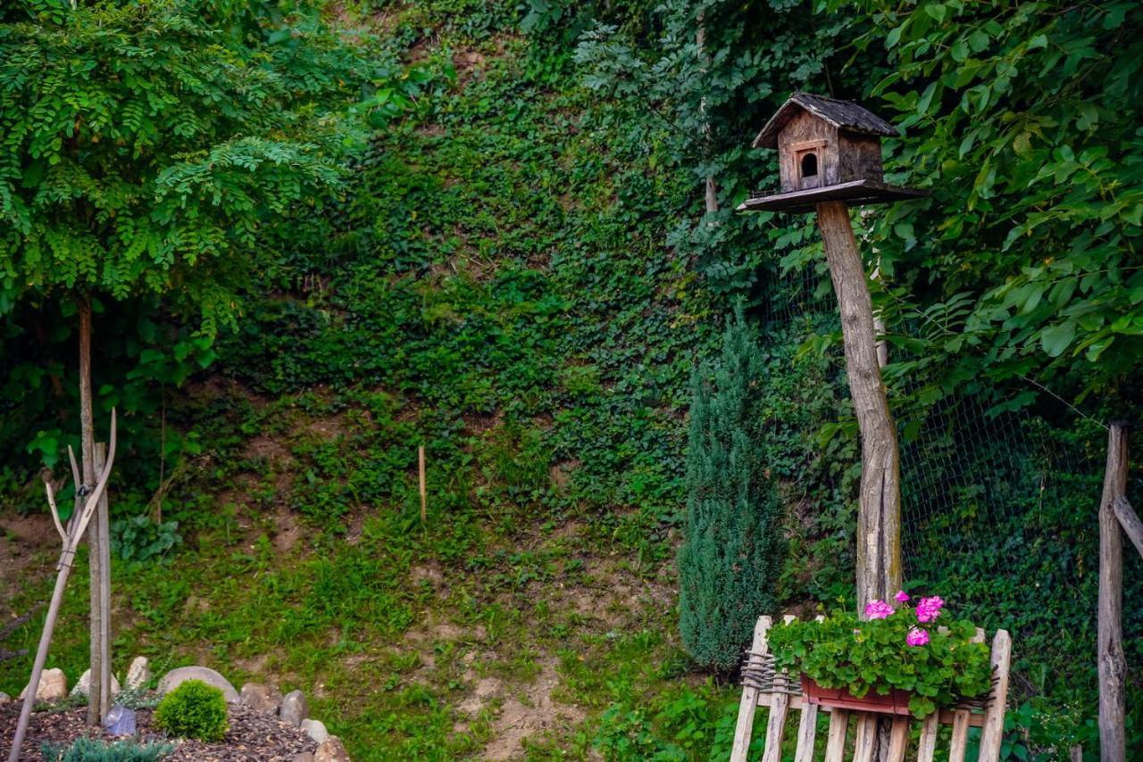 Etno Kuca Todorovic Villa Smederevo Luaran gambar