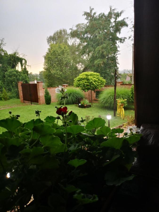 Etno Kuca Todorovic Villa Smederevo Luaran gambar