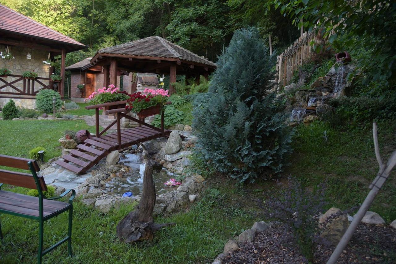 Etno Kuca Todorovic Villa Smederevo Luaran gambar