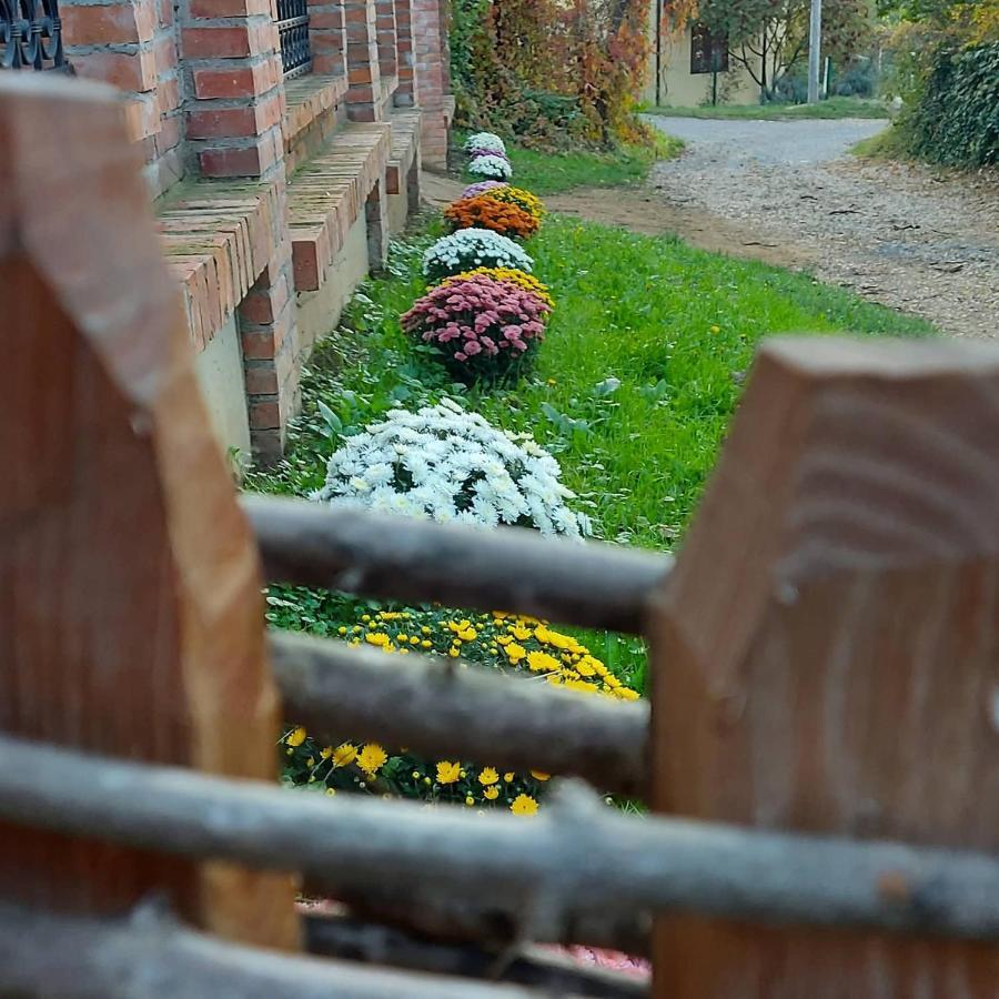Etno Kuca Todorovic Villa Smederevo Luaran gambar
