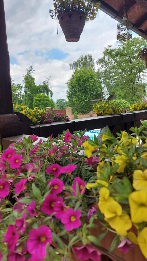 Etno Kuca Todorovic Villa Smederevo Luaran gambar
