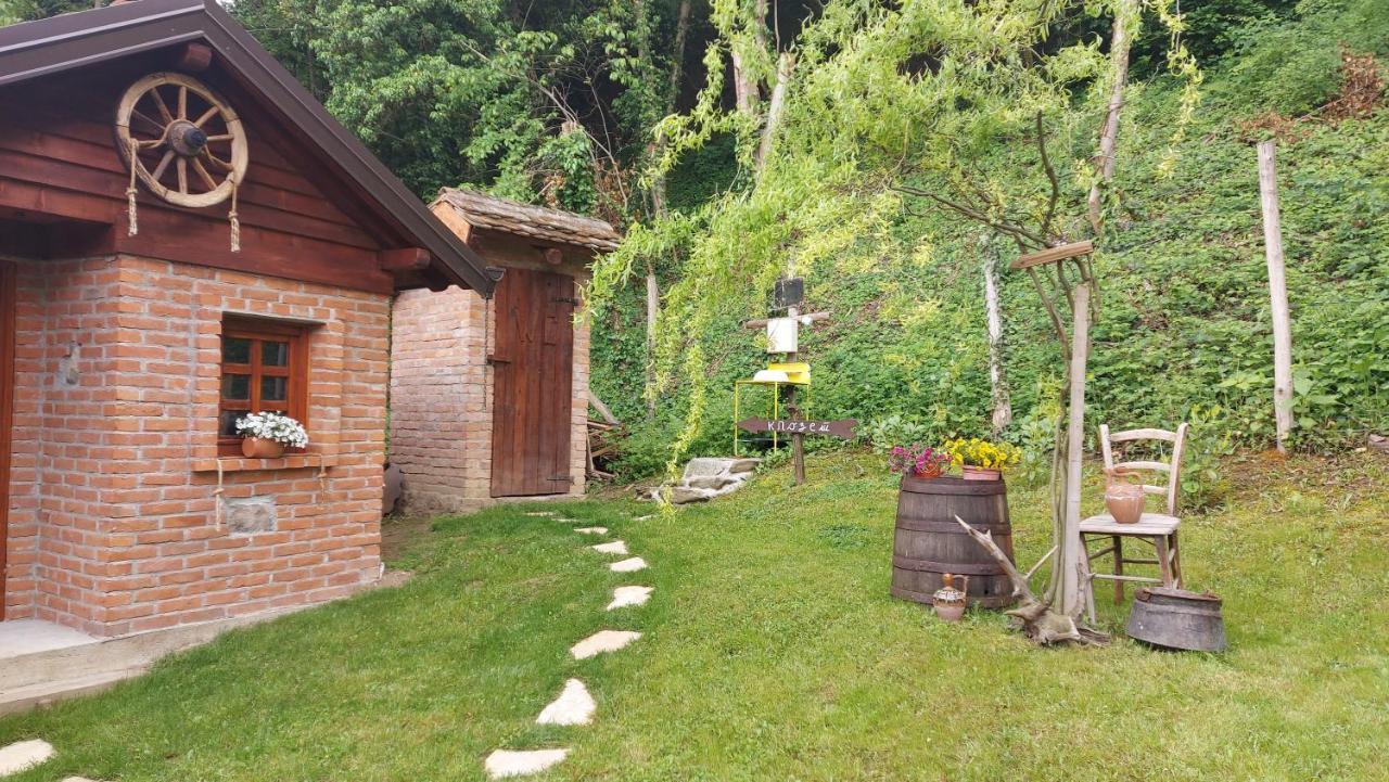 Etno Kuca Todorovic Villa Smederevo Luaran gambar