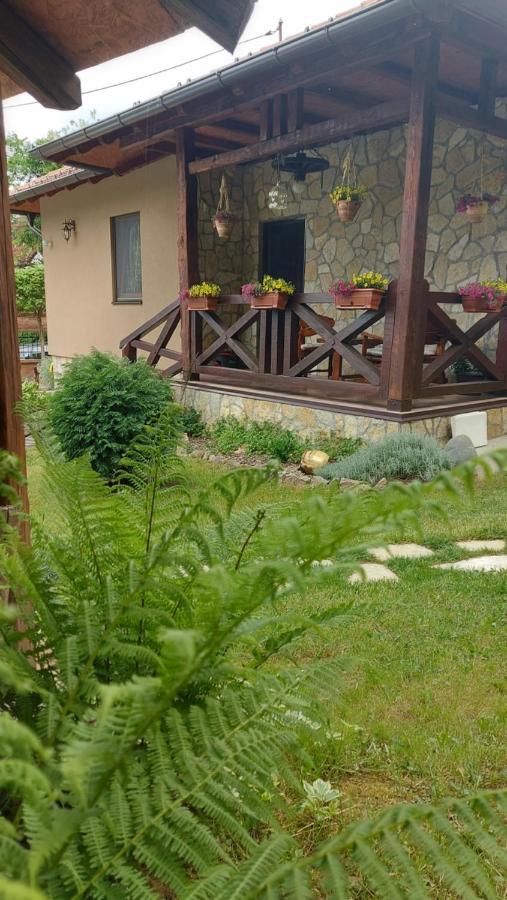 Etno Kuca Todorovic Villa Smederevo Luaran gambar
